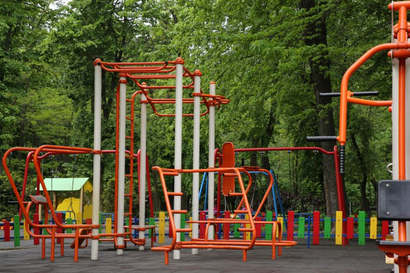 Monkey Bars Installation in Denver County, CO